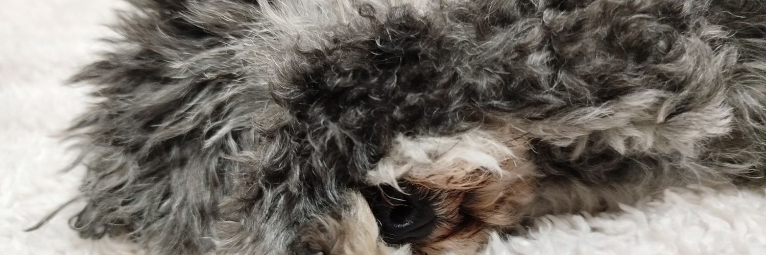 JuliVasconnet's profile banner image