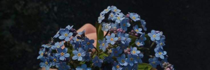 Biru🪼 on hiatus banner