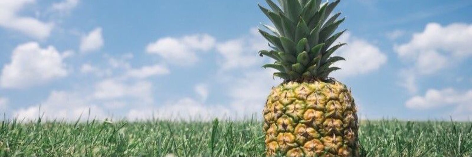 RobKowalski's profile banner image