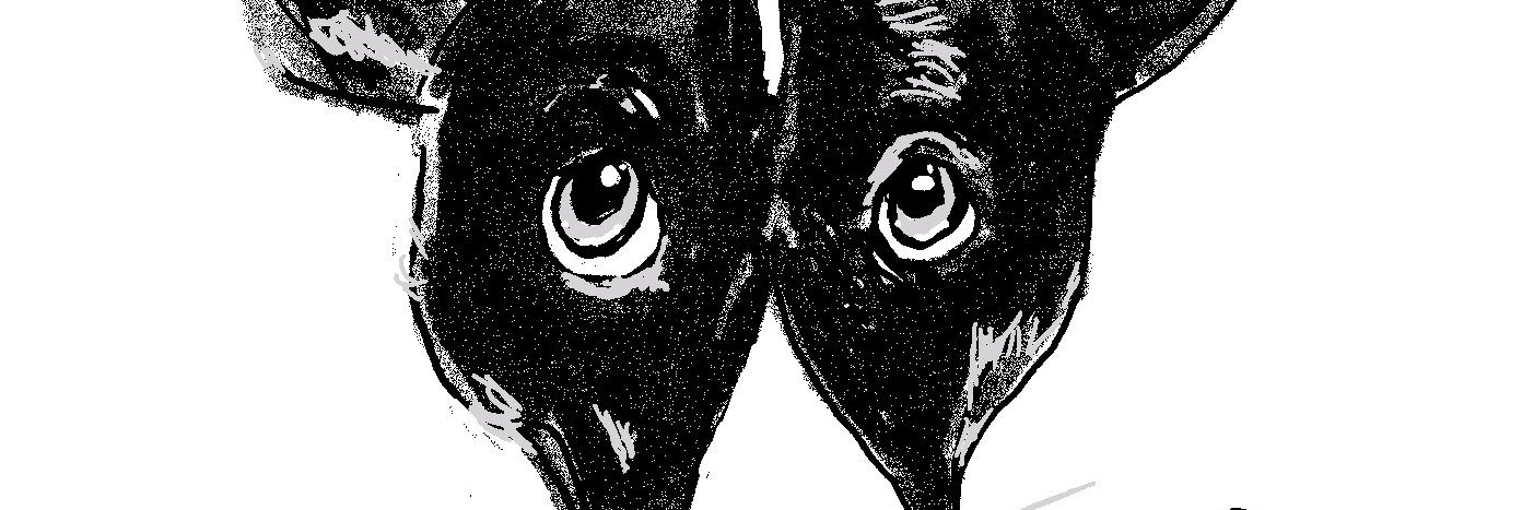 Mostly Dogs banner