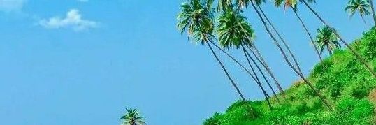 Reginal53073512's profile banner image