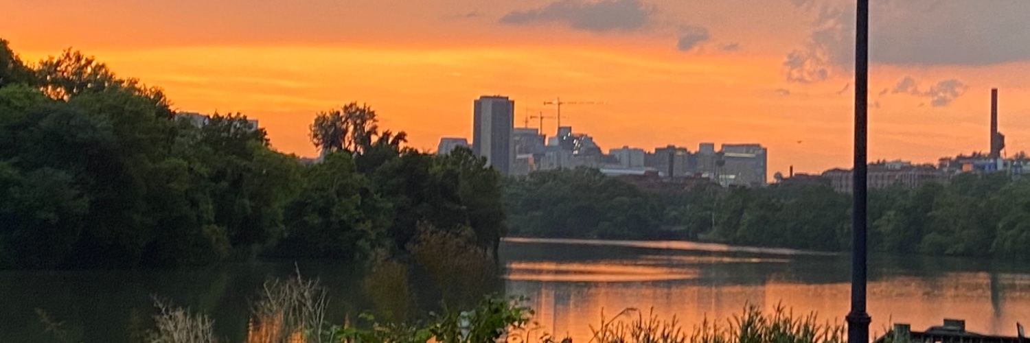 allydillingham's profile banner image