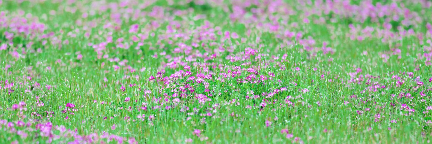 i_eimi_3's profile banner image