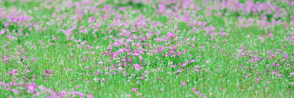 i_eimi_3 Profile Banner