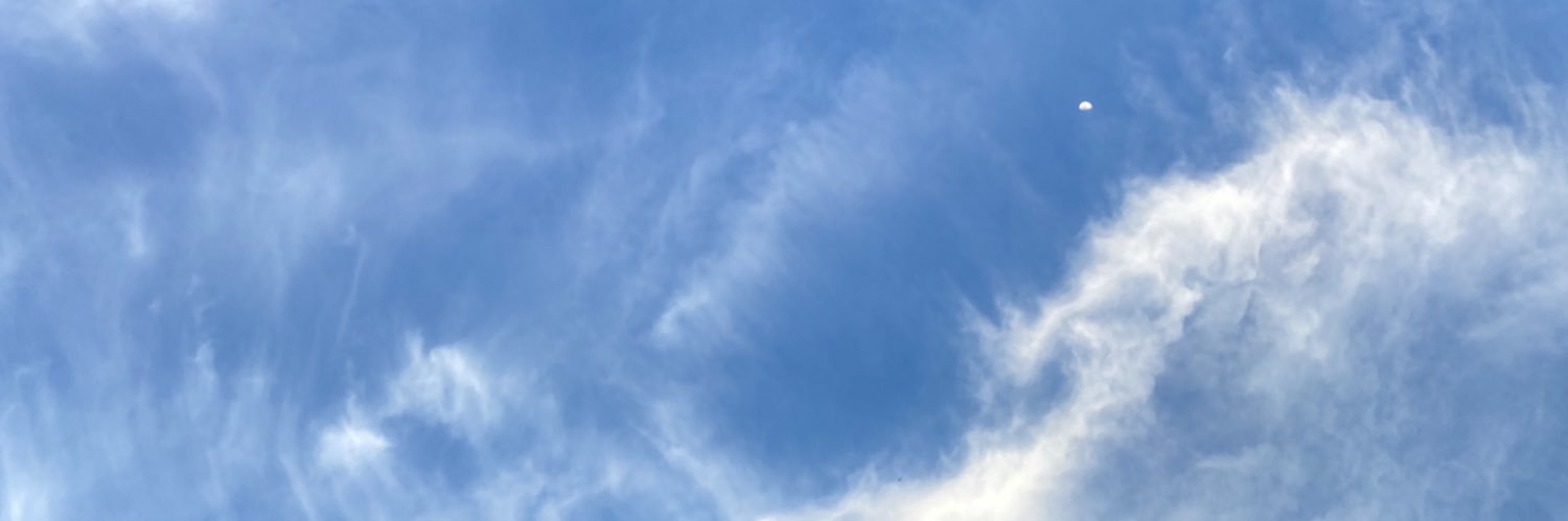 Tar_1443's profile banner image