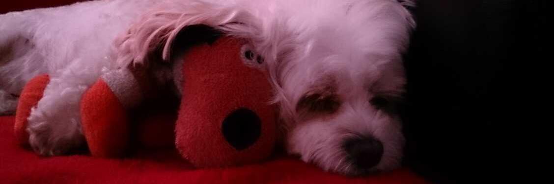 richorpaul's profile banner image