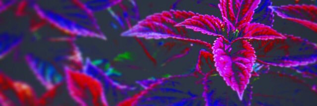 LarissaSands's profile banner image