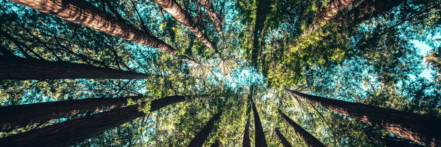 FFI Solutions banner