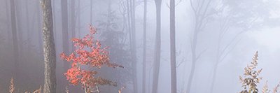 start_5's profile banner image