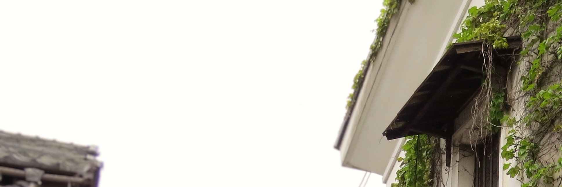 nshe05's profile banner image