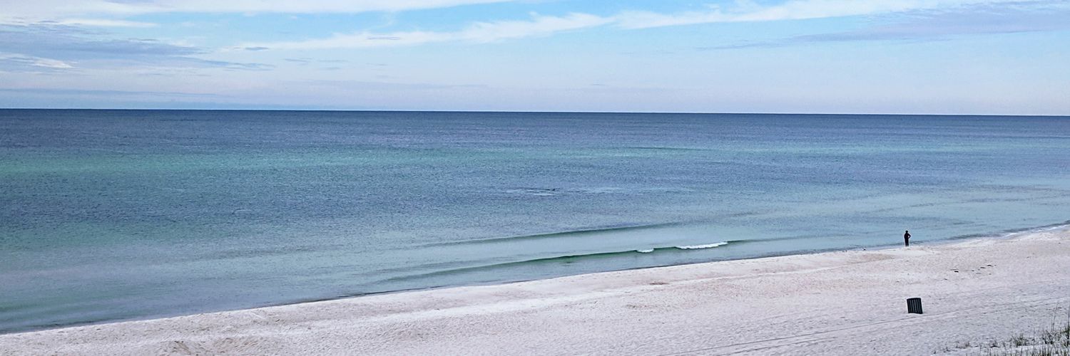 Susan Anderson banner