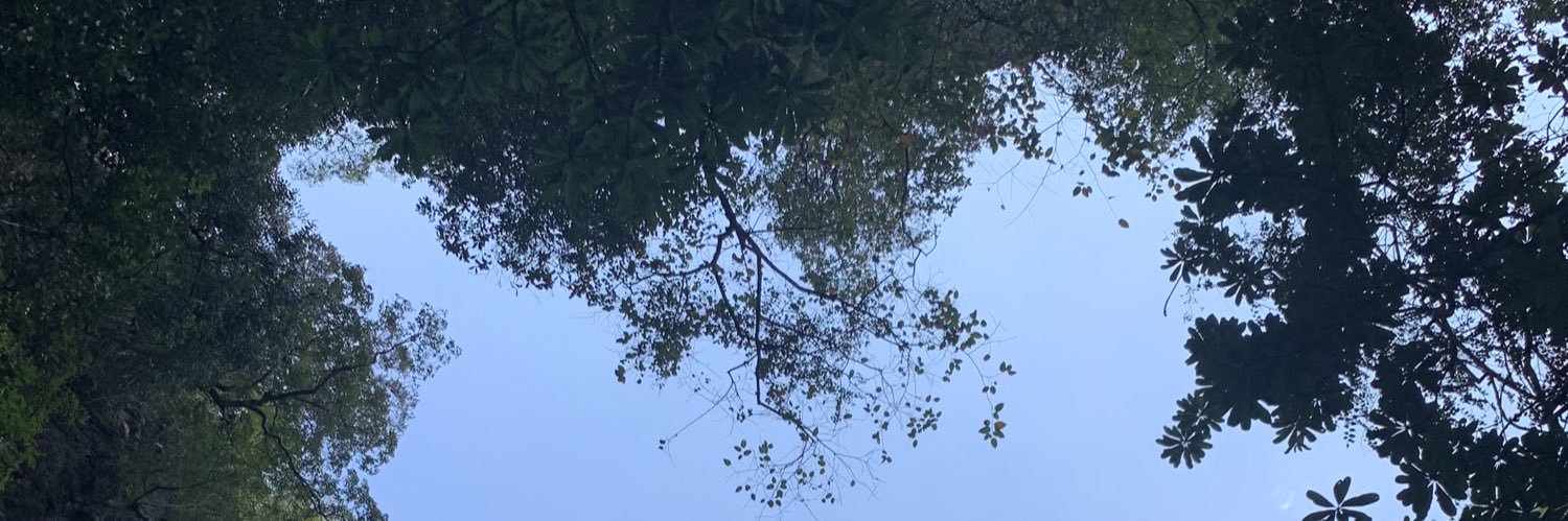 feritbinici's profile banner image