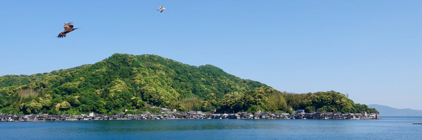 虎虎 banner