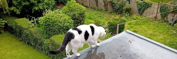 Number1_Patrick Profile Banner