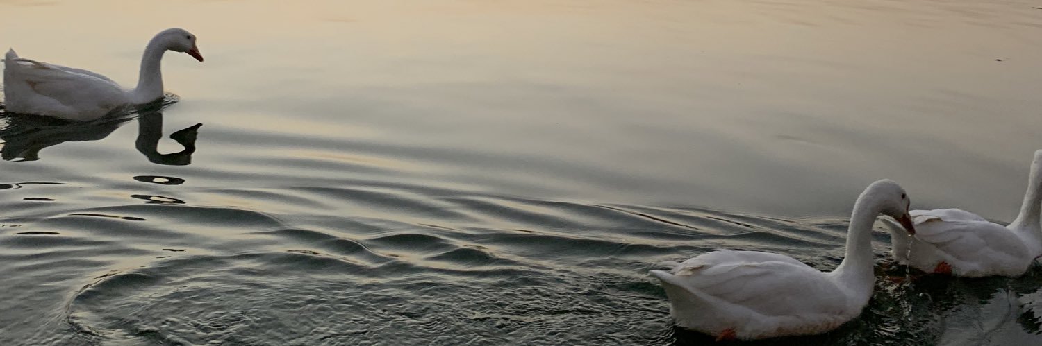 ManngoMann's profile banner image