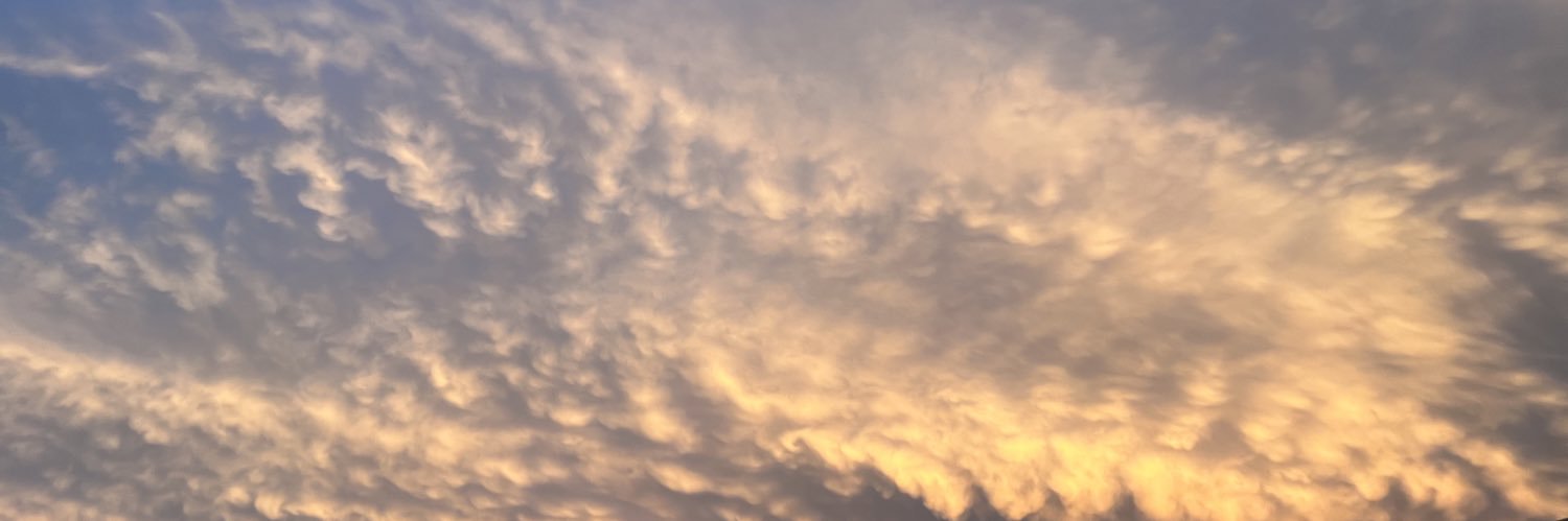 Dylan Hamilton banner