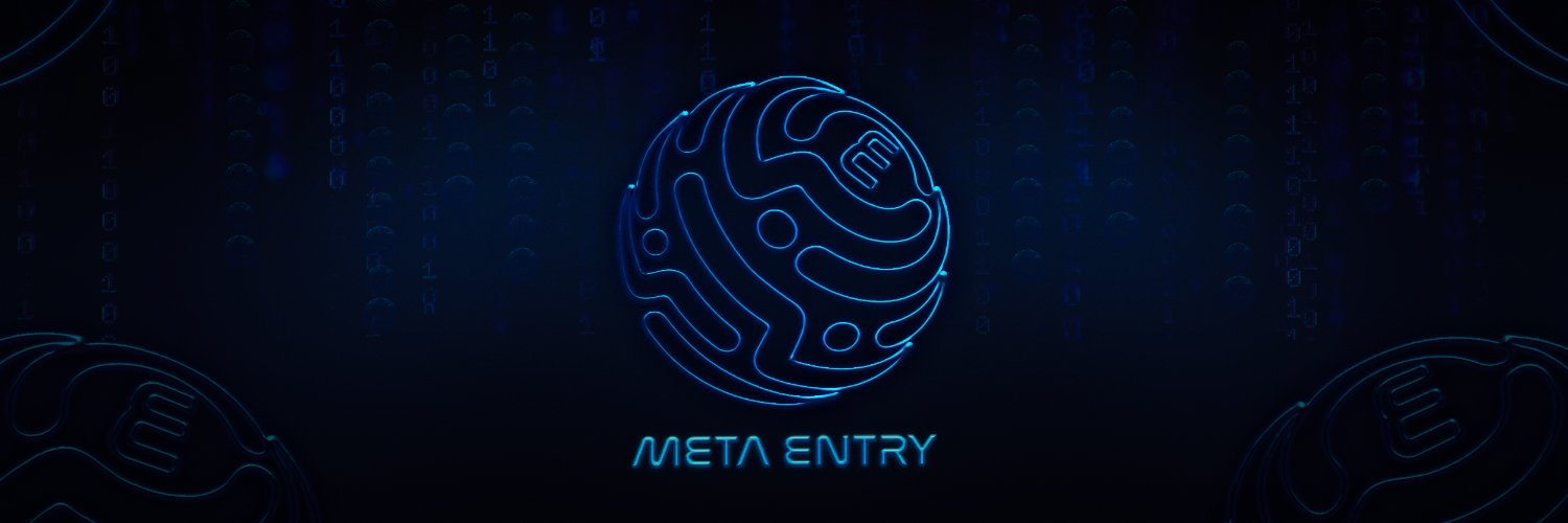 MetaEntry.io banner