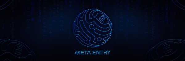 MetaEntry_io Profile Banner