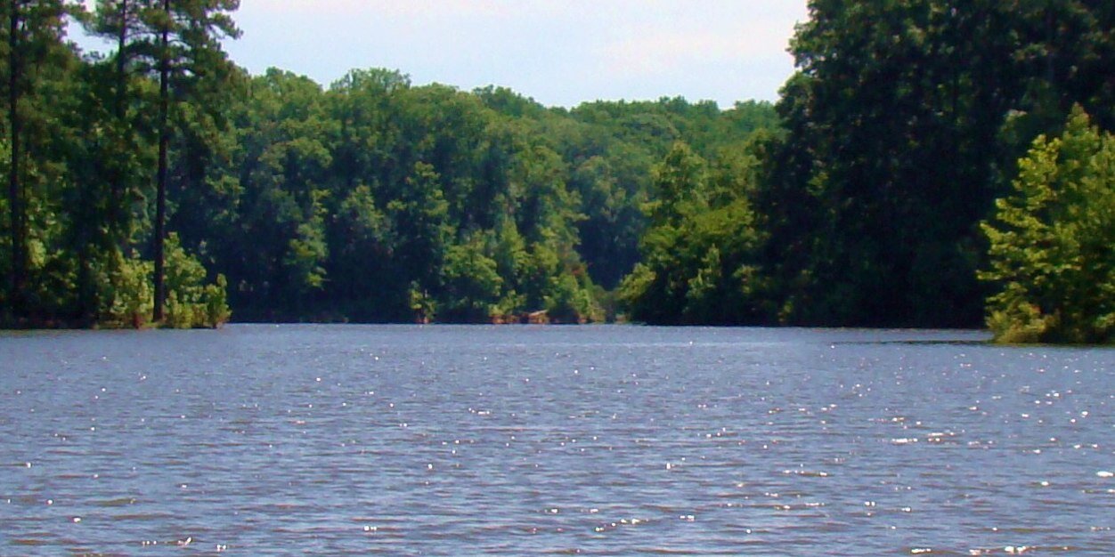RiverGuardianFd's profile banner image