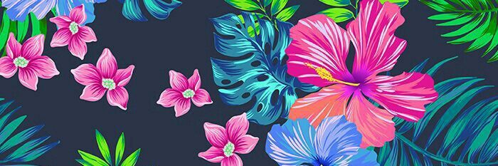 Florizeballos's profile banner image