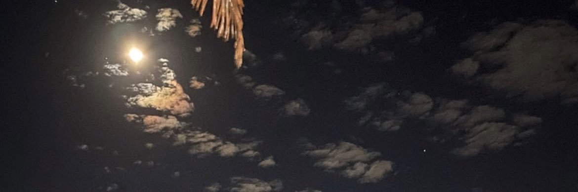 YPecina♌️ banner