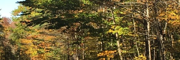 DougRobertsonMD Profile Banner