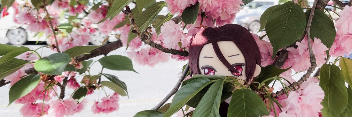 mayoumhyk's profile banner image