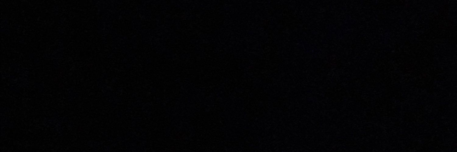 Anthony Roman's banner
