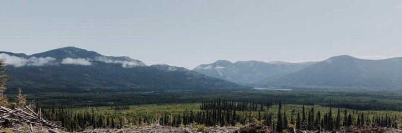 CamrynMeffe's profile banner image