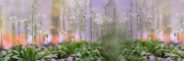 jlaw_lab Profile Banner