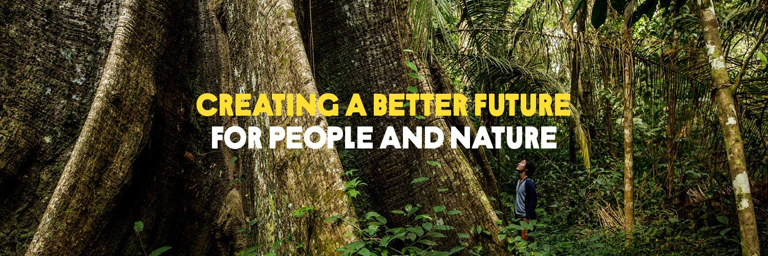 Rainforest Alliance banner