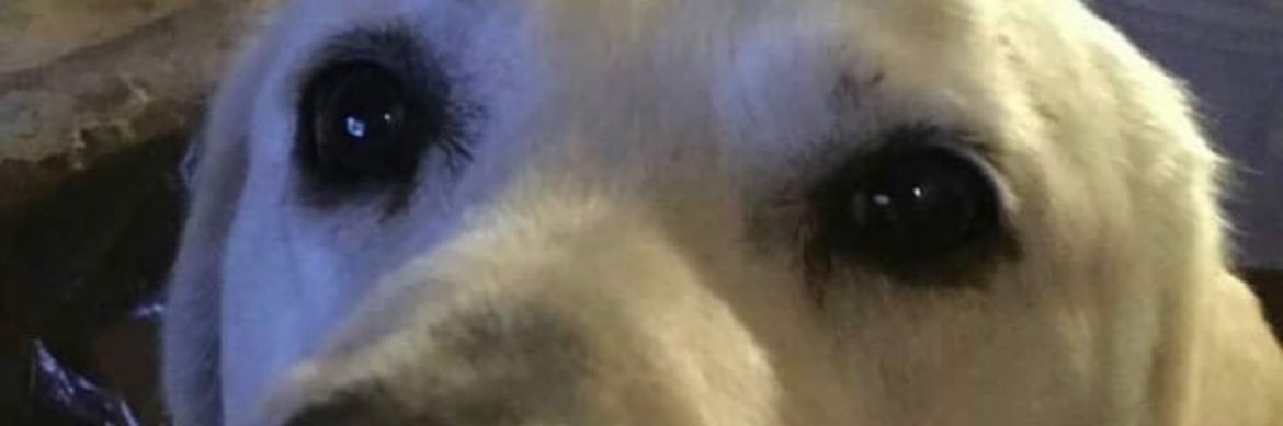 Karlaaa_barrera's profile banner image