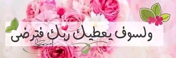 Sà ƒy 🇦🇹 👸🏻 banner