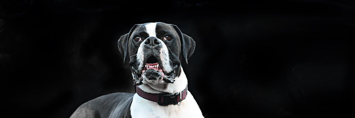 lfurr's profile banner image
