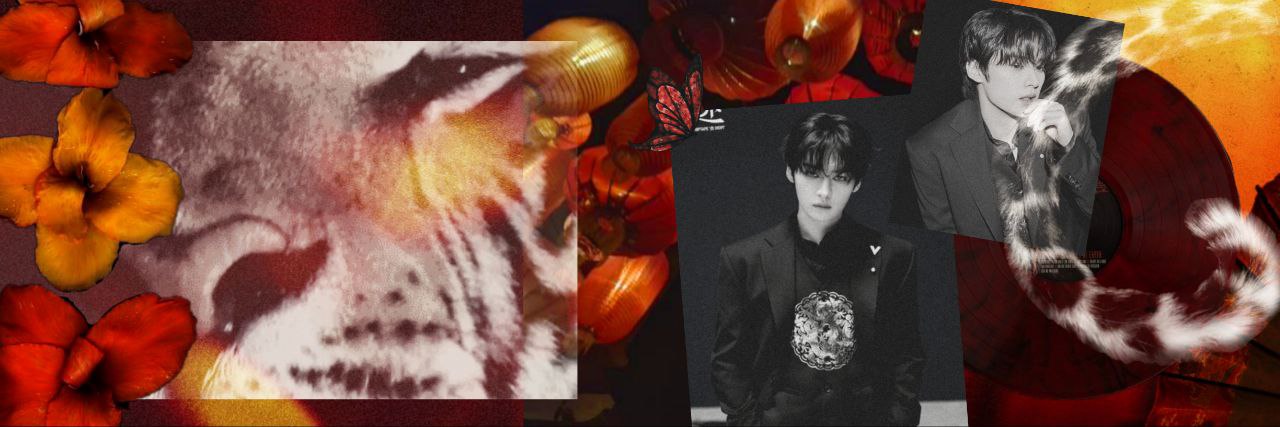 nabi𐀔 banner