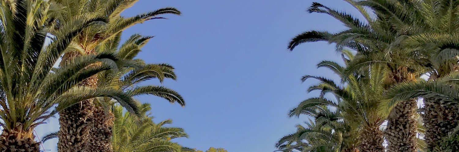 _sancocoa's profile banner image
