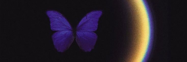Rosallyelv's profile banner image