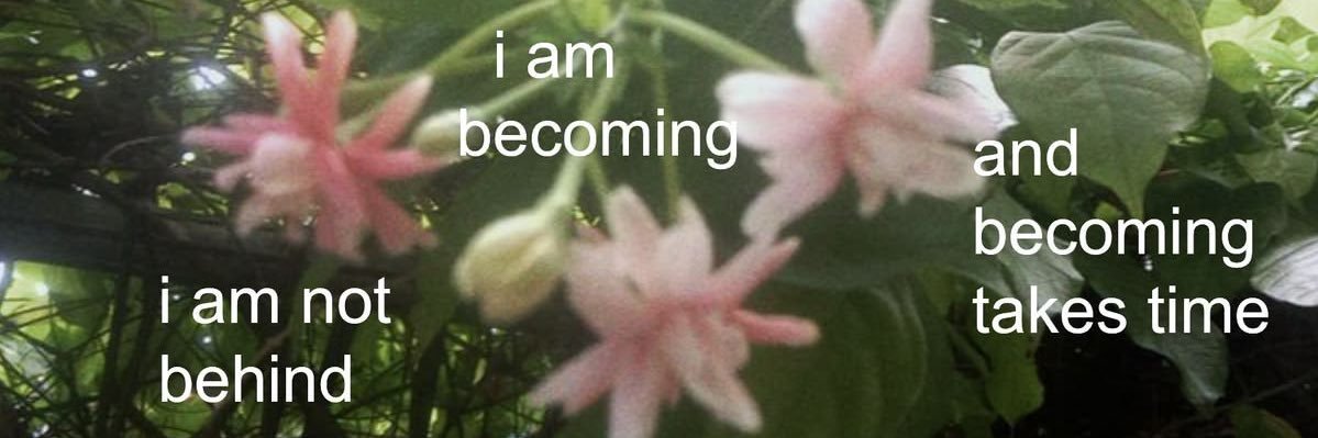 phloxfrill's profile banner image