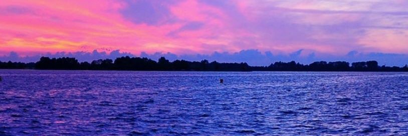 Dawn banner