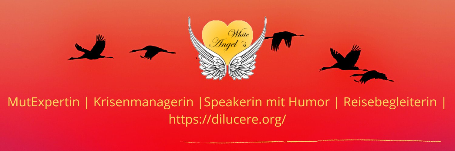 JanineZierold's profile banner image