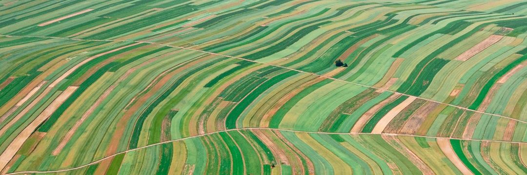 Nando Metzger banner