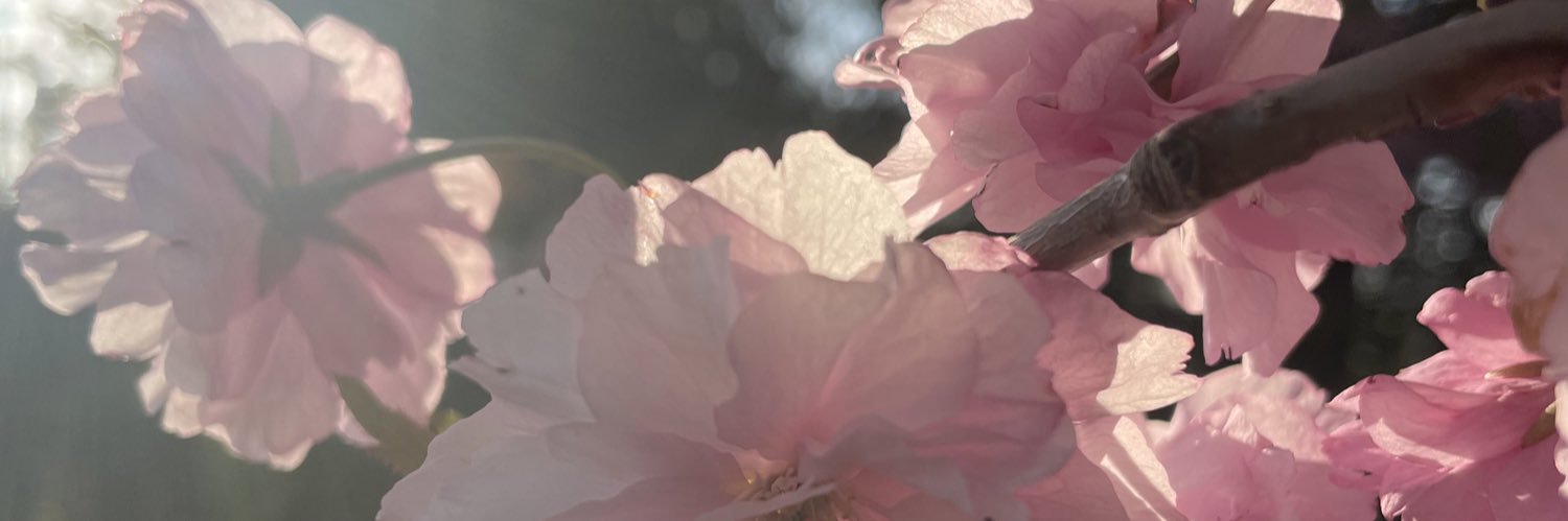 LizzterLasgana's banner