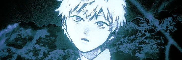 liz ⋆.˚ ᡣ𐭩 .𖥔˚ banner