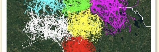 falsally's profile banner image