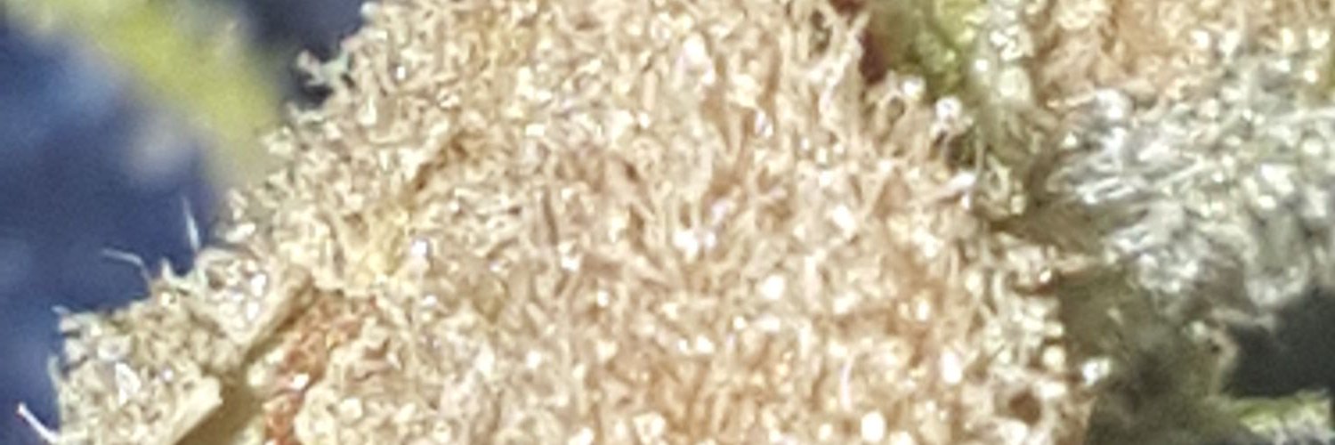 Brucepdx503's profile banner image