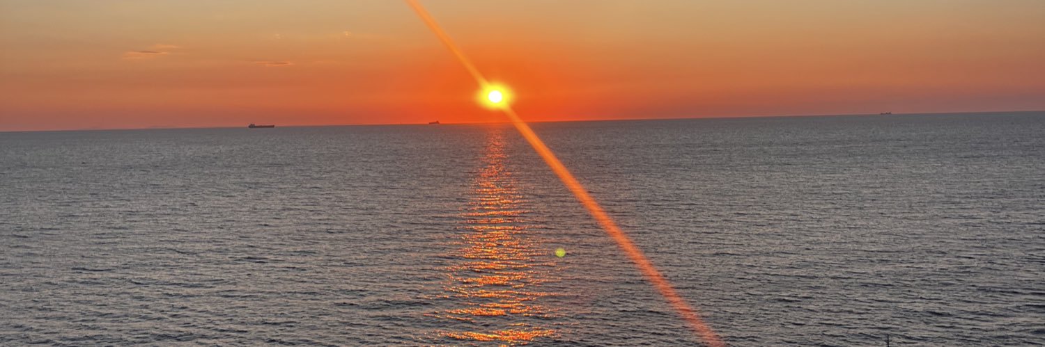 Zeliş banner