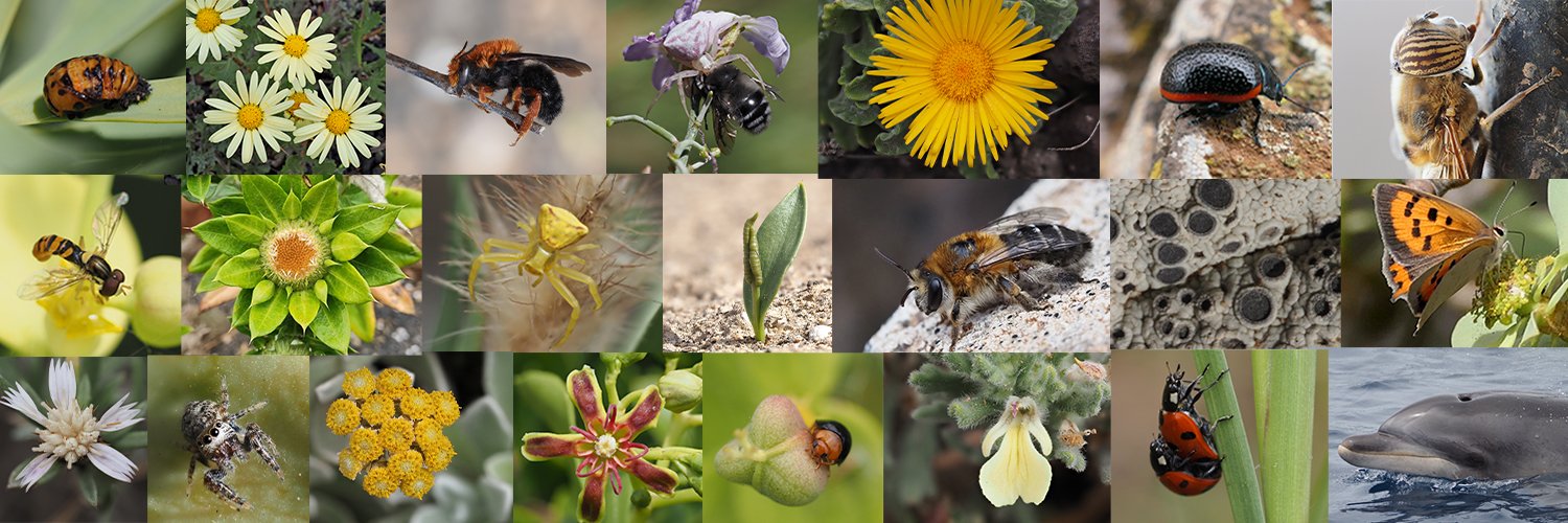 Mónica Pérez-Gil banner