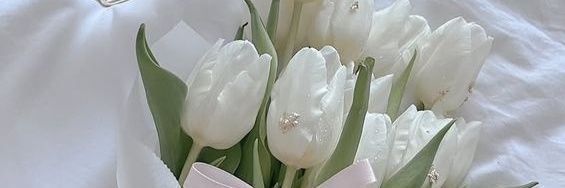 Allena banner