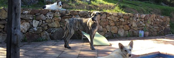 Twitspice Profile Banner