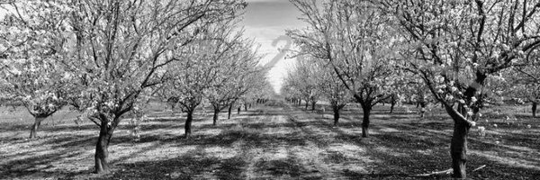 Ronen2022 Profile Banner